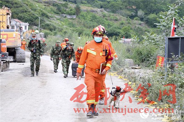 1498441958176817.jpg 3.jpg