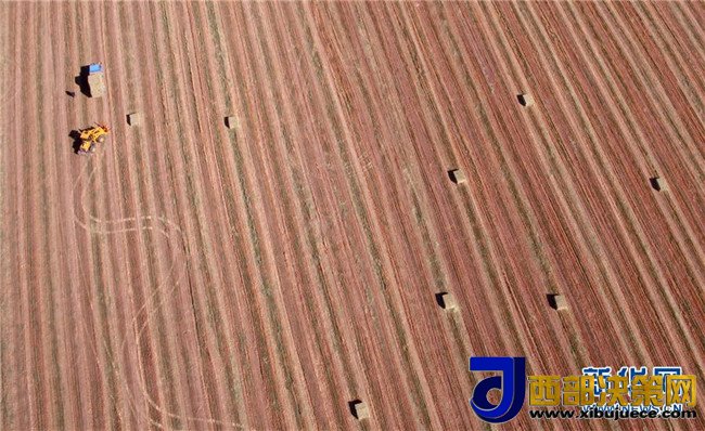 1510104299591600.jpg 1510104299591600.jpg