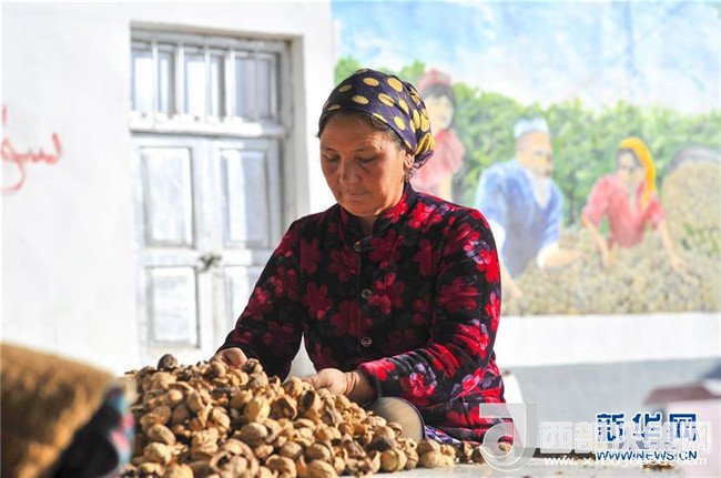 1510885696388792.jpg 3.jpg