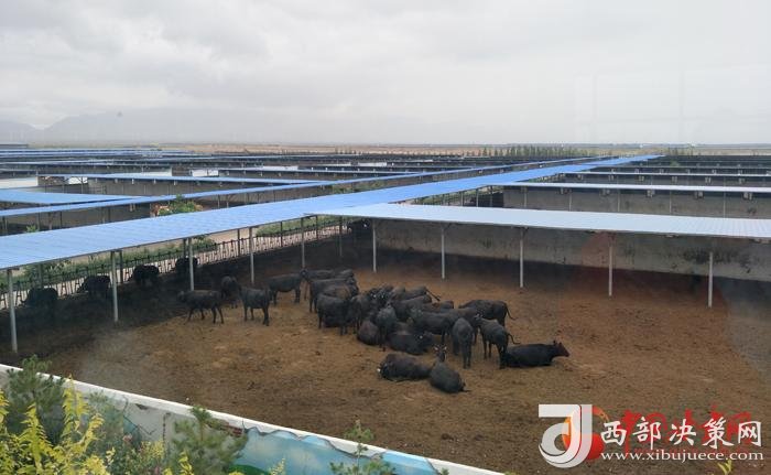 點擊進入下一頁