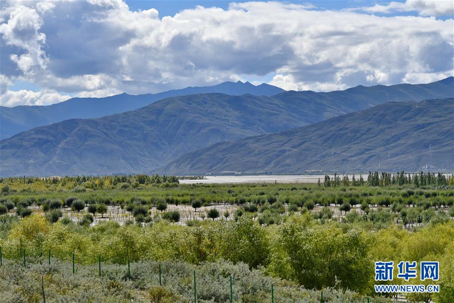 （圖文互動）（4）“今天的生活，就像夢里夢到那樣甜”——寫在西藏百萬農奴解放61周年之際