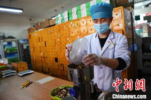 疫情發(fā)生以來，甘肅確保所有病例盡早、及時、全程使用中醫(yī)中藥，努力做到“一患一方案”。(資料圖) 楊艷敏 攝