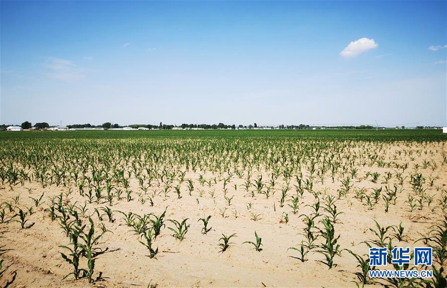 （圖文互動）（1）內蒙古旱情持續(xù)