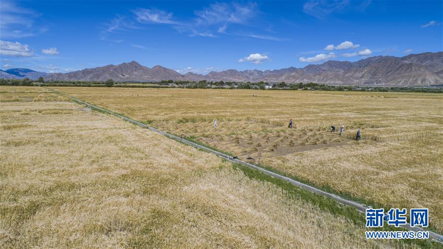 （新華全媒頭條·走向我們的小康生活·圖文互動(dòng)）（11）扎西德勒，我們的新家園——西藏易地扶貧搬遷搬出幸福美好新生活