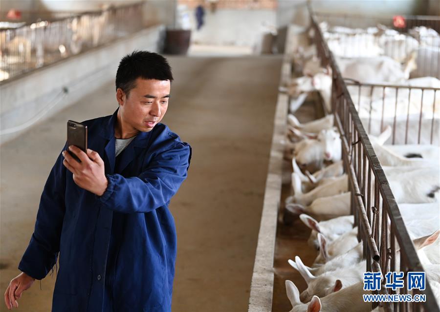 (新華全媒頭條·五中全會精神在基層·圖文互動)(12)奮發(fā)新青年 逐夢新征程——各地青年學(xué)習(xí)貫徹落實五中全會精神觀察